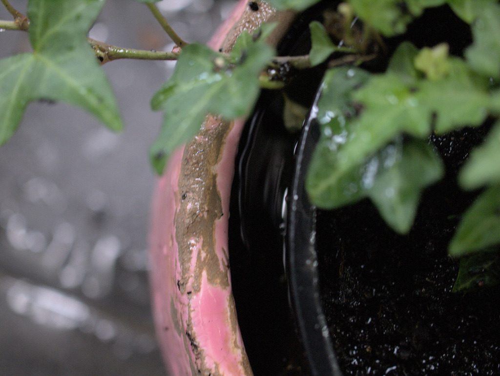 Indoor cache pot plant watering from below