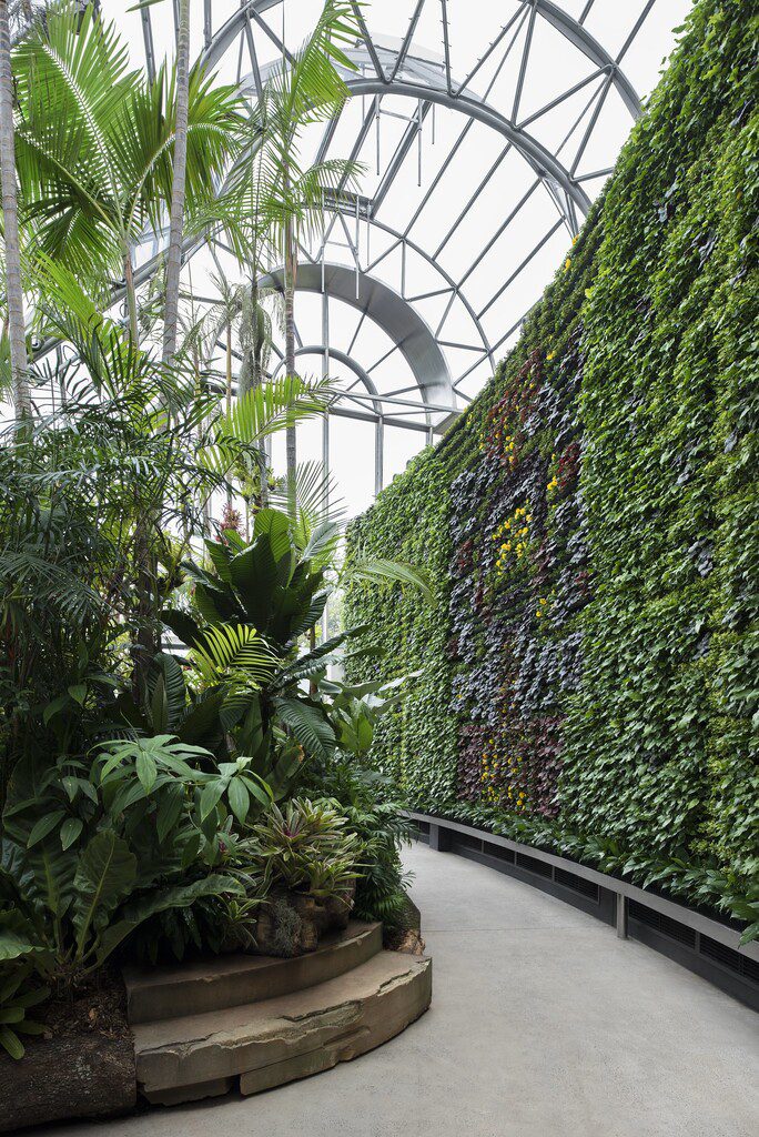 Green wall at The Calyx at the Royal Botanic Gardens Sydney